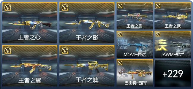 穿越火线：枪战王者24王者武器 238英雄武器 8英雄角色 436万化 大师SS