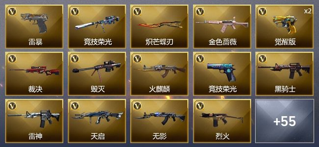 穿越火线（CF）5王者武器 51V武器 2V角色 18皮肤 可排位 枪王