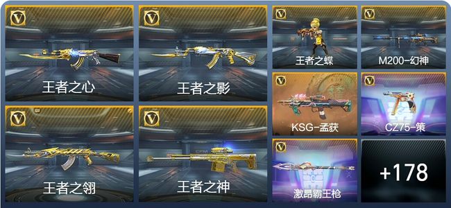 穿越火线：枪战王者V7 9王者武器 187英雄武器 7英雄角色 264万化 专家