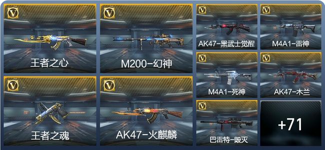 穿越火线:枪战王者2王者武器 80英雄武器 123万化 专家