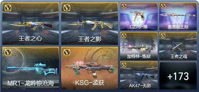 穿越火线：枪战王者V3 10王者武器 182英雄武器 13英雄角色 323万化 专家S