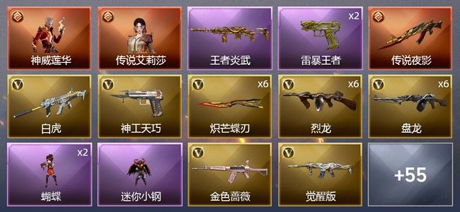 穿越火线（CF）2传说角色 2传说武器 12王者武器 55V武器 5V角色 18皮肤 可排位 传奇