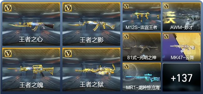 穿越火线：枪战王者V8 241英雄武器 新锐