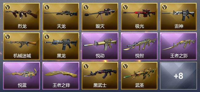 穿越火线（CF）11王者武器 24V武器 3V角色 9皮肤 可排位