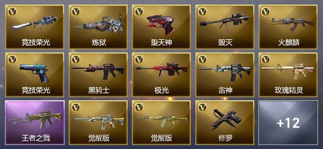 穿越火线（CF）1王者武器 27V武器 2V角色 9皮肤 可排位 新锐