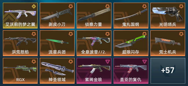 无畏契约11橙皮 1金皮 9紫皮 76皮肤 2,8700皮肤总价值 1230已用源晶 铂金