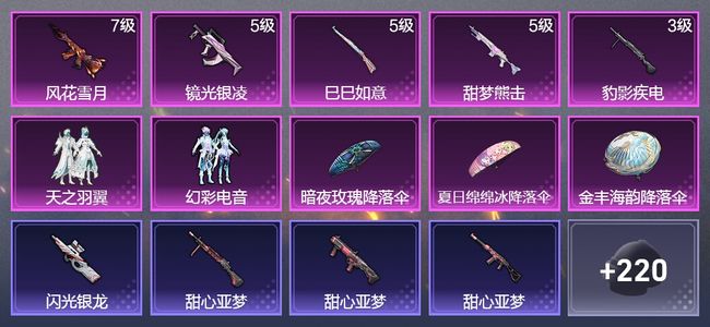 和平精英5升级枪 2粉装 124枪皮 108套装 41220热力 8印记