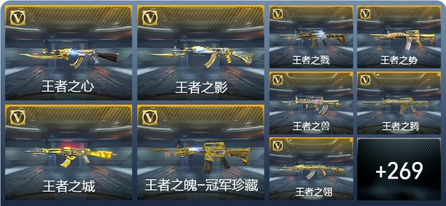 穿越火线：枪战王者45王者武器 278英雄武器 12英雄角色 599万化 专家S