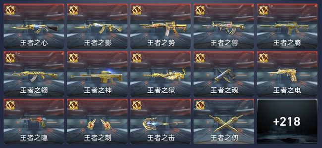 穿越火线：枪战王者23王者 224英雄武器 8英雄角色 380万化 专家S