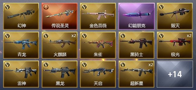 穿越火线（CF）1传说武器 2炫金武器 22V武器 1V角色 7皮肤 可排位 新锐
