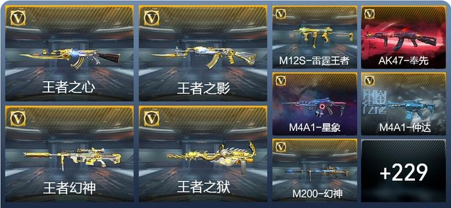 穿越火线：枪战王者16王者武器 238英雄武器 9英雄角色 430万化 枪圣SS