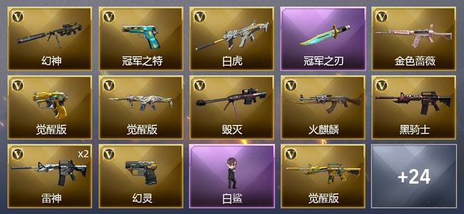 穿越火线（CF）6王者武器 24V武器 12皮肤 可排位 新锐