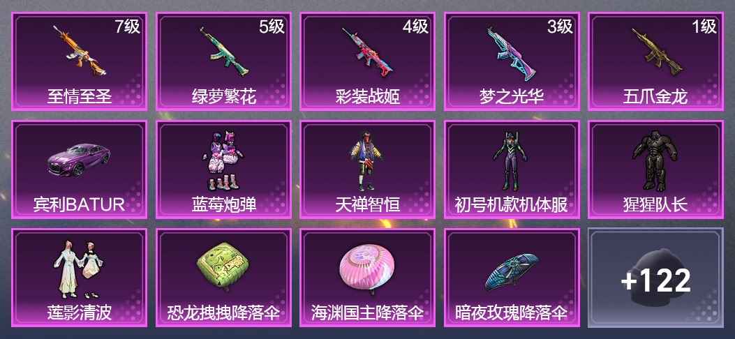 和平精英1载具 5升级枪 5粉装 146枪皮 121套装 47456热力 7印记 王牌