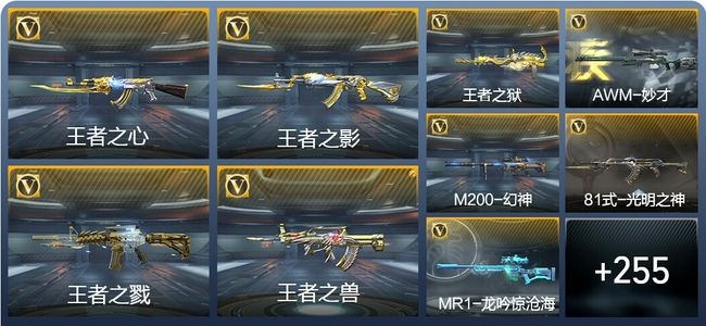 穿越火线：枪战王者15王者武器 264英雄武器 8英雄角色 480万化 大师