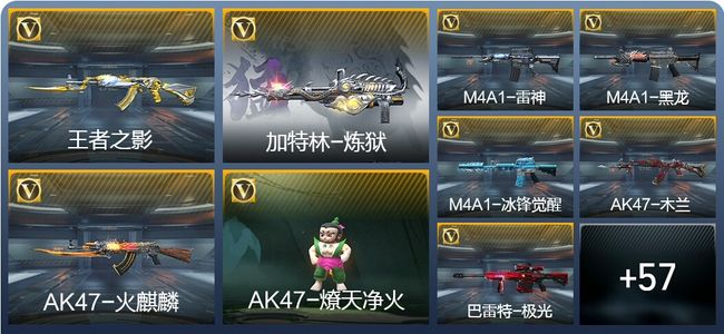 穿越火线：枪战王者3王者武器 66英雄武器 1英雄角色 45万化 专家S