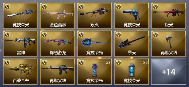 穿越火线（CF）30V武器 1V角色 8皮肤 可排位 枪王