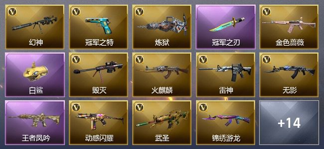 穿越火线（CF）1王者武器 22V武器 9皮肤 可排位 枪王