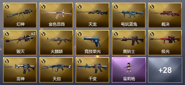 穿越火线（CF）5王者武器 2炫金武器 47V武器 1V角色 19皮肤 可排位 传奇