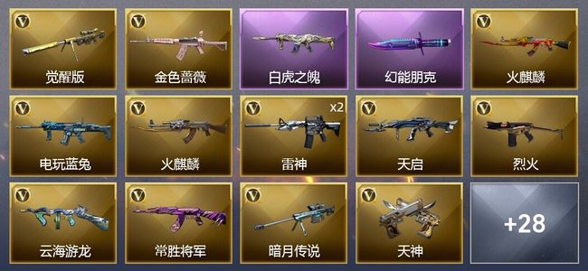 穿越火线（CF）3王者武器 28V武器 1V角色 17皮肤 可排位 新锐
