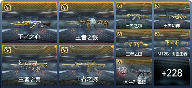 穿越火线：枪战王者V9 29王者武器 305英雄武器 9英雄角色 547万化 传奇