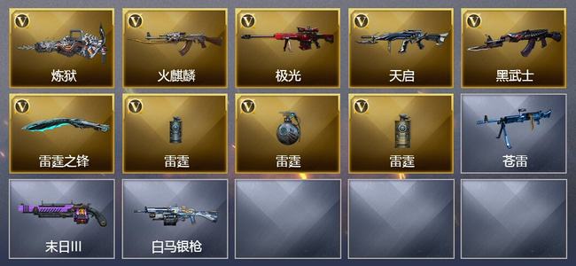 穿越火线（CF）9V武器 2皮肤 可排位 专家