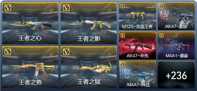 穿越火线：枪战王者V8 22王者武器 245英雄武器 10英雄角色 464万化 枪神