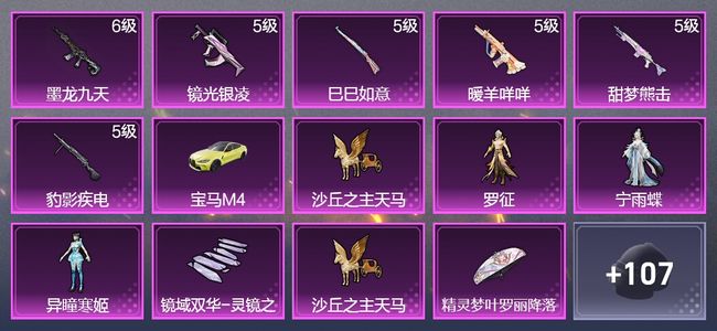 和平精英1载具 6升级枪 3粉装 2飞行器 74枪皮 45套装 24841热力 2印记 星钻