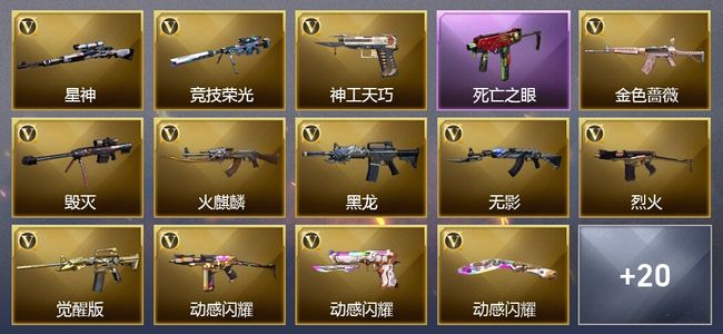 穿越火线（CF）43V武器 1V角色 10皮肤 可排位 专家