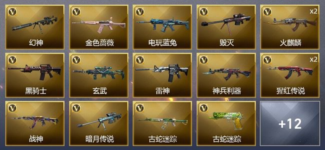 穿越火线（CF）33V武器 14皮肤 可排位 新锐