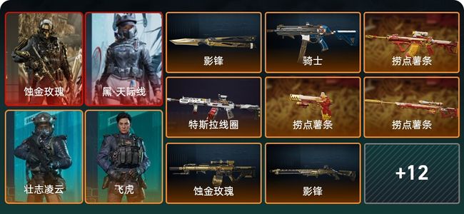 三角洲行动总资产186M 5干员外观 铂金