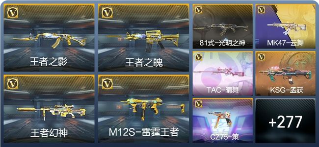 穿越火线：枪战王者18王者武器 286英雄武器 13英雄角色 257万化 枪王SSS