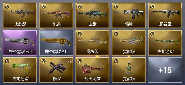 穿越火线（CF）17V武器 9皮肤 可排位 新锐