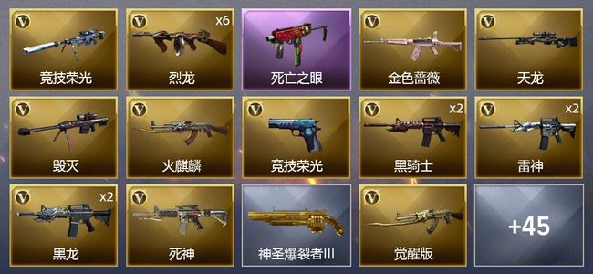 穿越火线（CF）4王者武器 69V武器 24皮肤 可排位 宗师