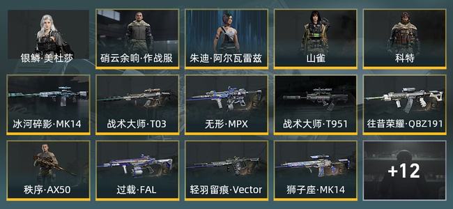 暗区突围库存价值20.4M 10近战武器 1橙套装 4金套装 11金枪皮 信誉5级 大师