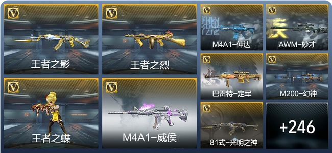 穿越火线：枪战王者V8 12王者武器 255英雄武器 9英雄角色 255万化 枪神