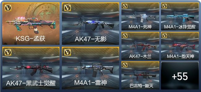 穿越火线：枪战王者1王者武器 64英雄武器 1英雄角色 51万化 枪王SS