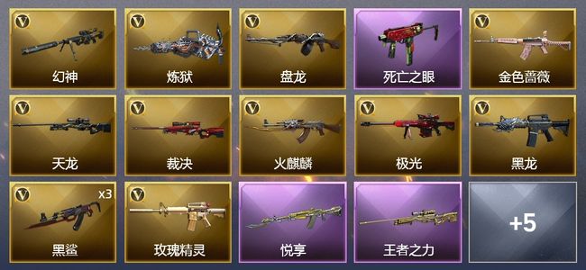 穿越火线（CF）2王者武器 17V武器 1V角色 4皮肤 可排位 专家