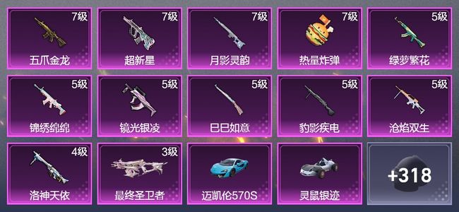 和平精英6载具 12升级枪 3粉装 1飞行器 212枪皮 133套装 71927热力 11印记 星钻