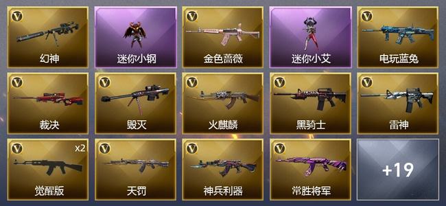 穿越火线（CF）23V武器 17皮肤 可排位 新锐