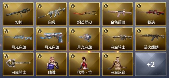 穿越火线（CF）8V武器 4V角色 9皮肤 可排位