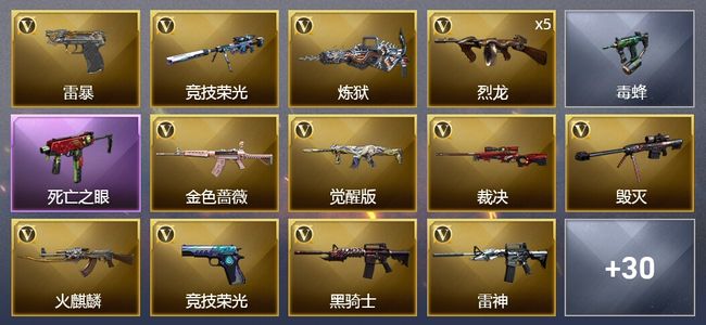 穿越火线（CF）36V武器 1V角色 10皮肤 可排位 枪王