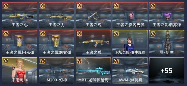 穿越火线：枪战王者V5 8王者 66英雄武器 3英雄角色 92万化 大师