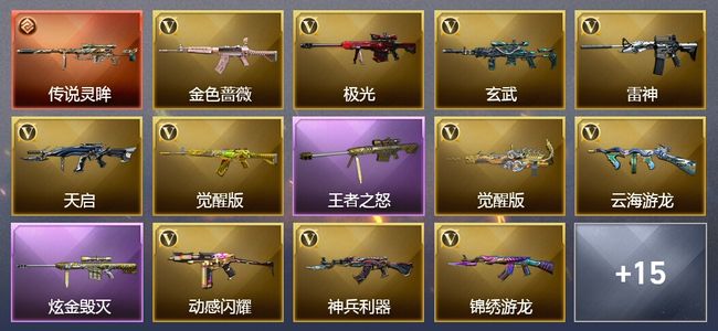 穿越火线（CF）1传说武器 1王者武器 1炫金武器 31V武器 6皮肤 可排位 专家