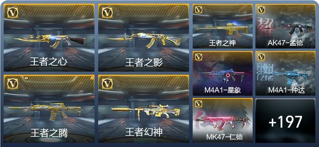 穿越火线：枪战王者V8 23王者武器 206英雄武器 2英雄角色 448万化 枪皇SSS