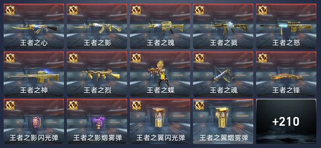 穿越火线：枪战王者V8 382英雄武器 新锐