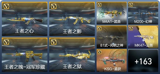 穿越火线：枪战王者V8 8王者武器 175英雄武器 9英雄角色 288万化 专家