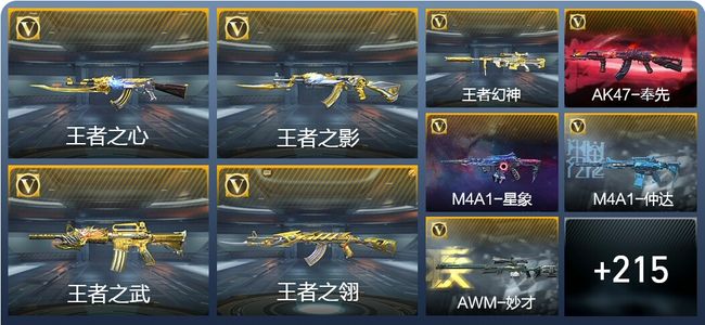 穿越火线：枪战王者23王者武器 224英雄武器 15英雄角色 389万化 专家