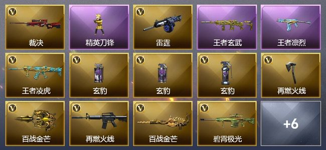 穿越火线（CF）4王者武器 14V武器 1V角色 4皮肤 可排位