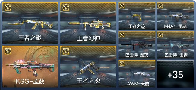 穿越火线：枪战王者V6 14王者武器 44英雄武器 1英雄角色 87万化 专家S