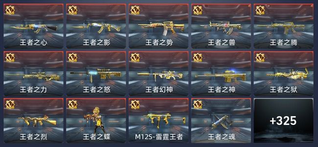 穿越火线：枪战王者V9 48王者 324英雄武器 15英雄角色 621万化 枪王S